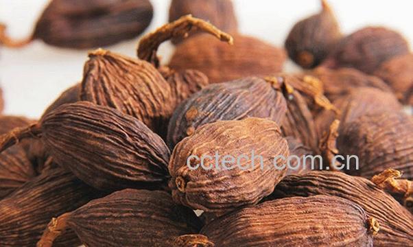 果蔬百科草果的功效与作用-0