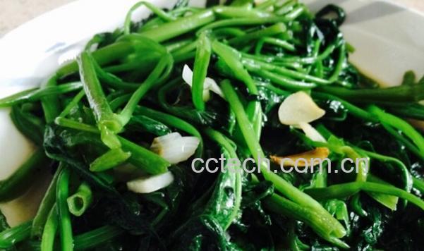 果蔬百科空心菜的做法大全-0