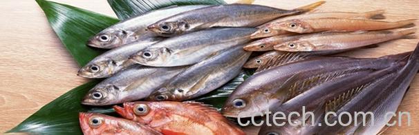 果蔬百科鲢鱼的做法 鲢鱼的营养价值-0