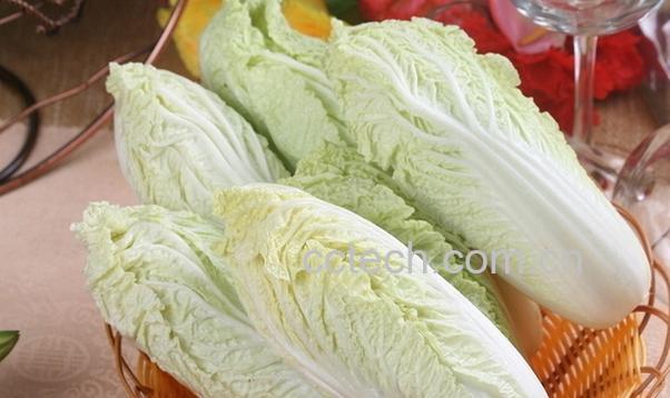 果蔬百科白菜的功效与作用-0