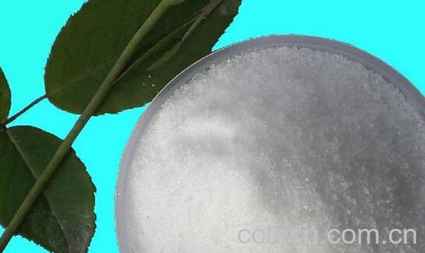 果蔬百科精氨酸的功效与作用-0