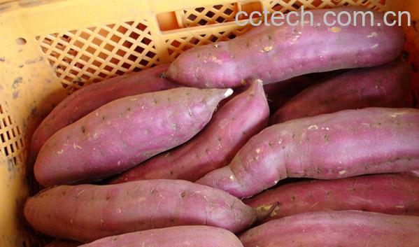 果蔬百科吃什么食物能润肠通便-0