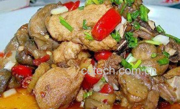 果蔬百科野鸡的做法大全-0