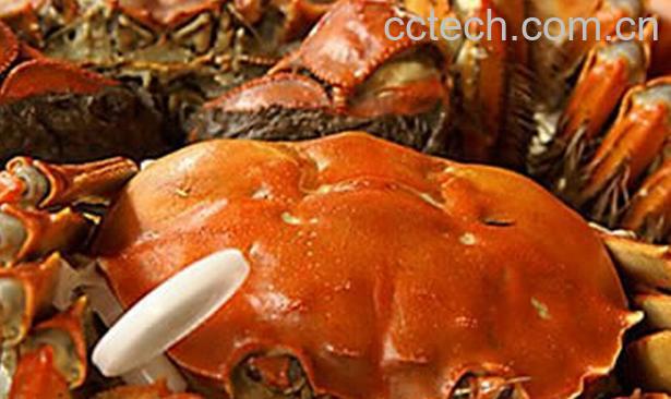 果蔬百科螃蟹怎么吃才不会太寒-0