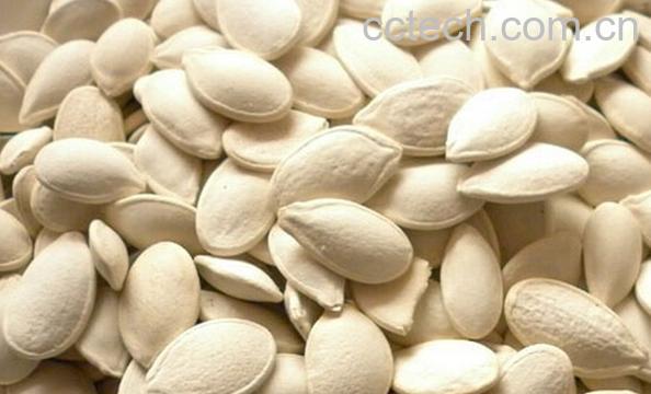 果蔬百科白南瓜子-0