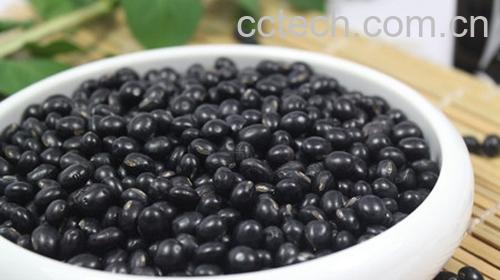 果蔬百科黑豆怎么吃营养-0