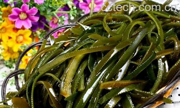 果蔬百科抗辐射的食物有哪些-0