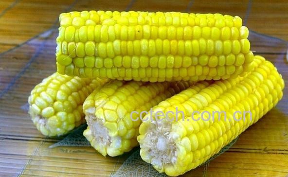 果蔬百科什么食物能提高记忆力-0