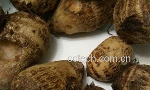 果蔬百科蒸芋头怎么做好吃-0