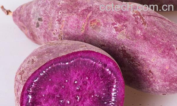 果蔬百科紫薯的功效与做法-0