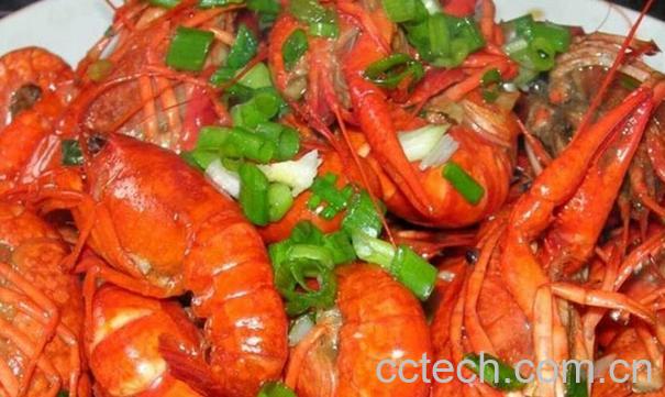 果蔬百科大龙虾怎么做最好吃-0