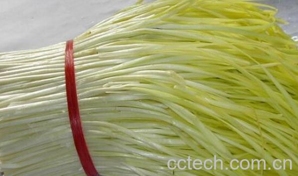 果蔬百科孕妇可以吃韭黄吗-0