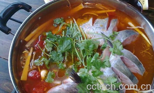 果蔬百科乌江鱼-0