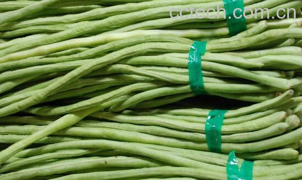 果蔬百科常见青菜的营养价值-0