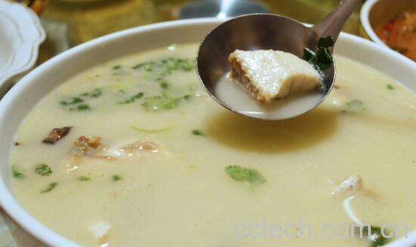 果蔬百科黑鱼汤的功效与作用-0