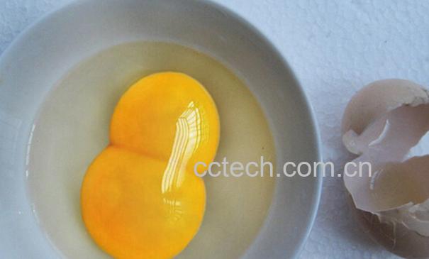 果蔬百科双黄蛋是用激素催出来的吗-0