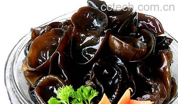 果蔬百科促进伤口愈合的食物-0