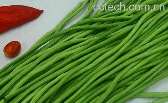 果蔬百科豆角的营养价值与功效-0