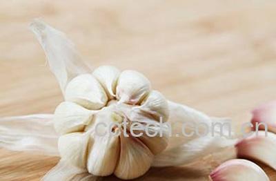 果蔬百科吃大蒜的好处和坏处-0