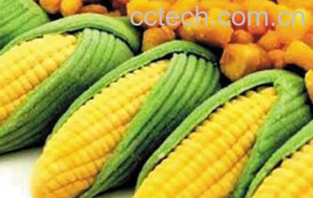 果蔬百科玉米的功效与作用-0