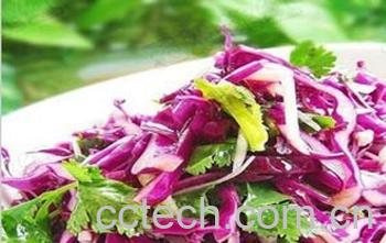 果蔬百科紫甘蓝怎么做好吃-0