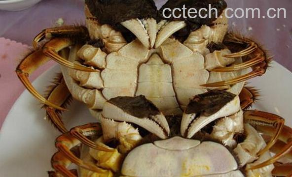 果蔬百科螃蟹公母怎么分-0