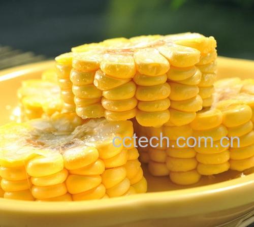 果蔬百科玉米吃了会胖吗-0