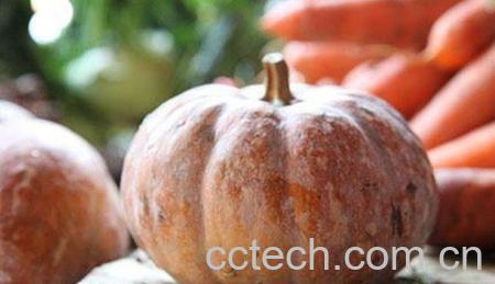 果蔬百科南瓜功效与作用及禁忌-0