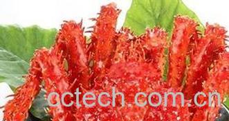 果蔬百科帝王蟹的做法大全技巧-0