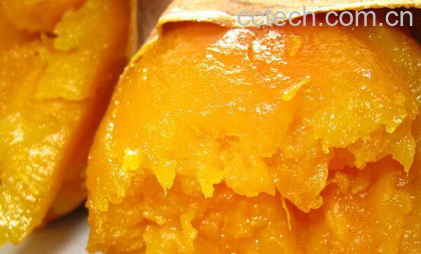 果蔬百科微波炉怎么烤红薯-0