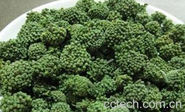 果蔬百科三七花茶的功效与作用-0