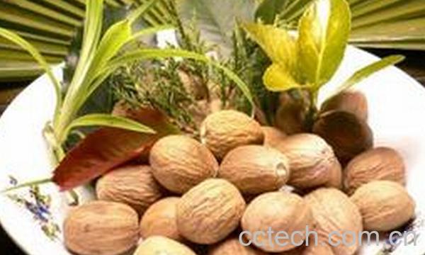 果蔬百科豆蔻-0