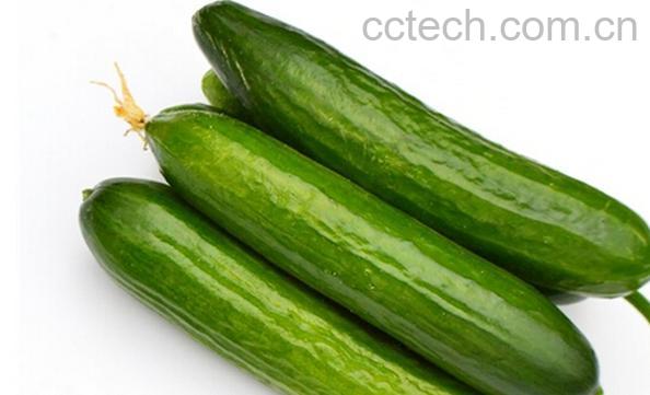 果蔬百科西胡瓜的营养价值-0