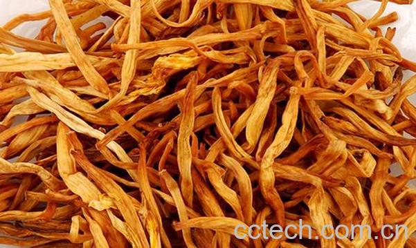 果蔬百科金针菜-0