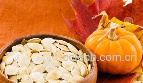 果蔬百科南瓜籽的作用和功效-0