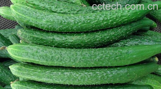 果蔬百科夏季上火吃什么降火-0