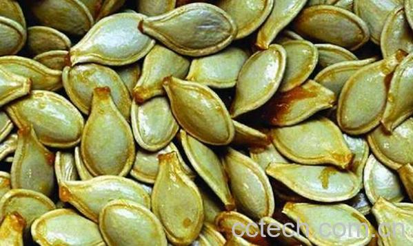 果蔬百科南瓜子的功效与禁忌-0