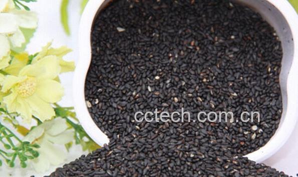 果蔬百科吃芝麻的好处-0