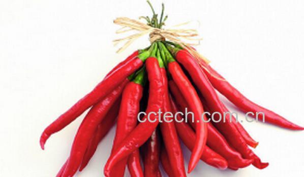 果蔬百科体寒的人吃什么食物好-0