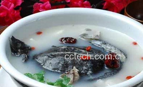 果蔬百科甲鱼汤的功效-0