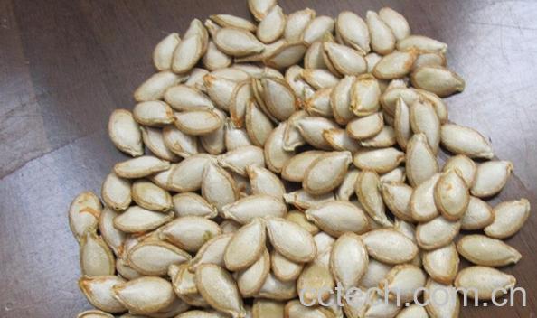 果蔬百科生南瓜子-0