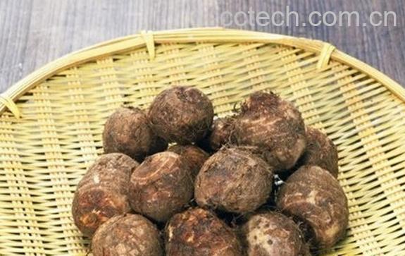 果蔬百科小芋头的功效与作用-0