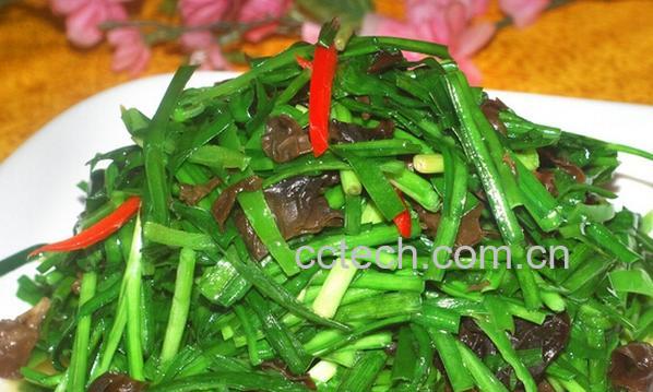 果蔬百科体寒的人吃什么好-0