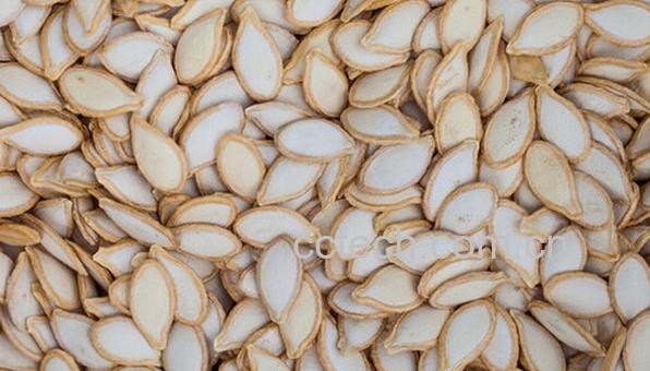 果蔬百科生南瓜子-0