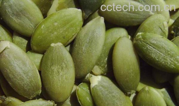 果蔬百科南瓜子仁-0