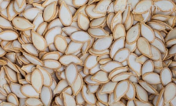 果蔬百科南瓜子的药用功效-0