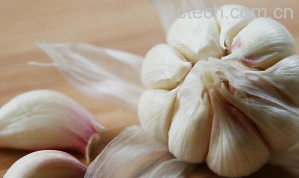 果蔬百科生大蒜和熟大蒜的功效-0