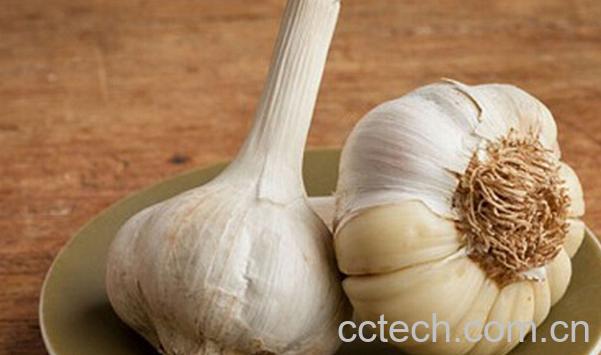 果蔬百科生大蒜能治脚气吗-0