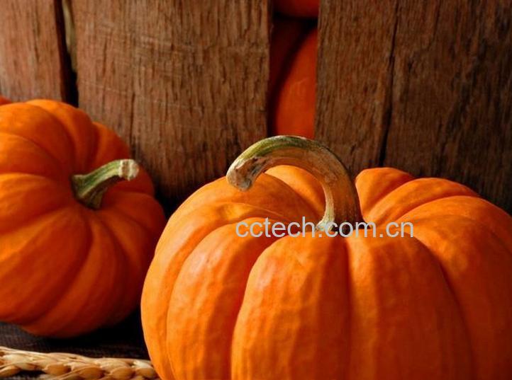 果蔬百科南瓜功效与作用及禁忌-0