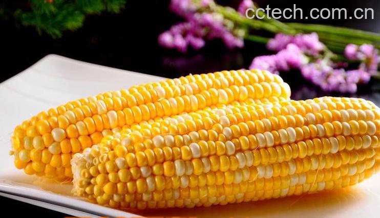 果蔬百科鲜玉米煮多长时间-0